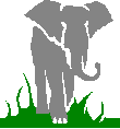 elefant