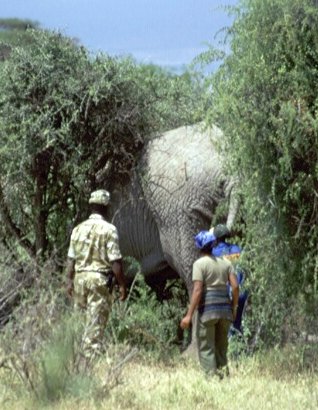 Trying to stay upright 2