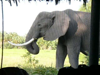 Ella and son next to my tent (WMV video, 00:04:37, 4.49 MB)