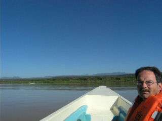 Fish eagle catching a fish