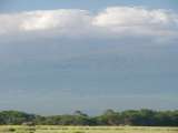 Elephants in front of the now almost entirely cloud-covered Kilimanjaro