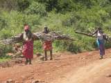 Women carrying firewood